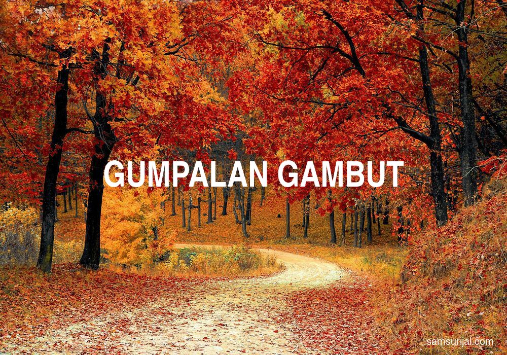 Arti Gumpalan Gambut