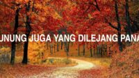 Gunung Juga Yang Dilejang Panas