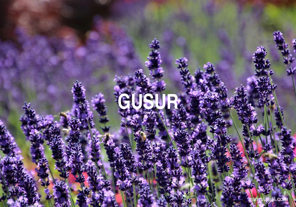 Arti Gusur