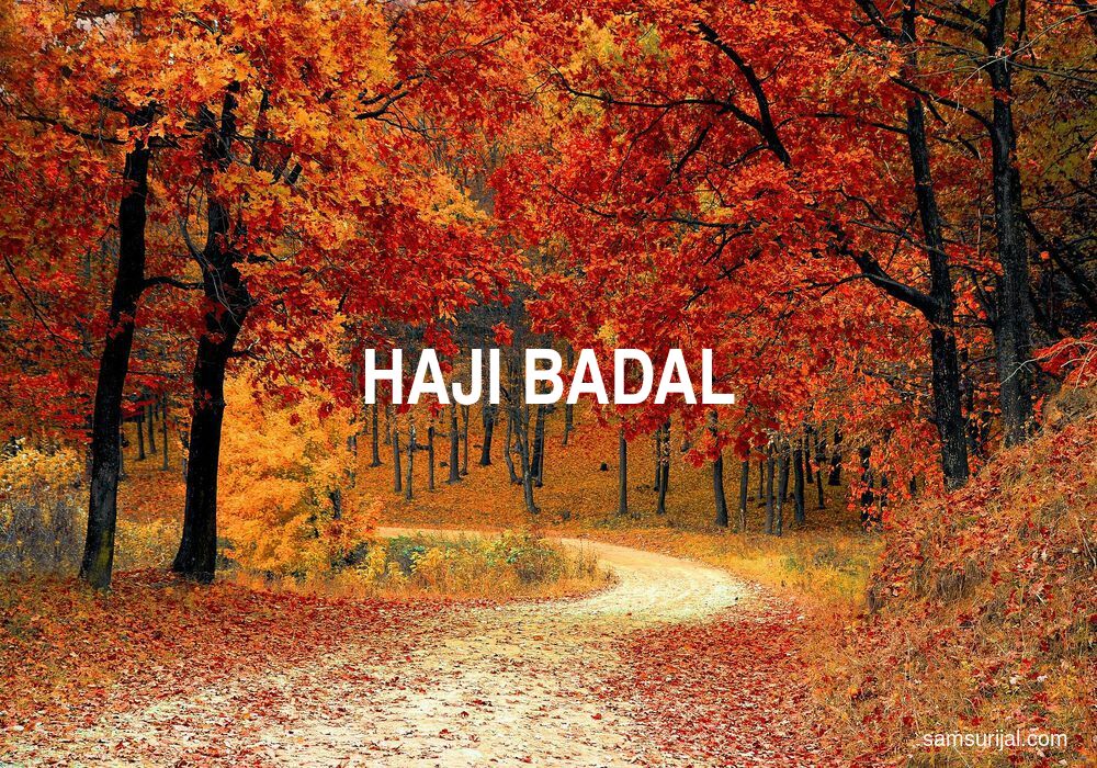 Arti Haji Badal