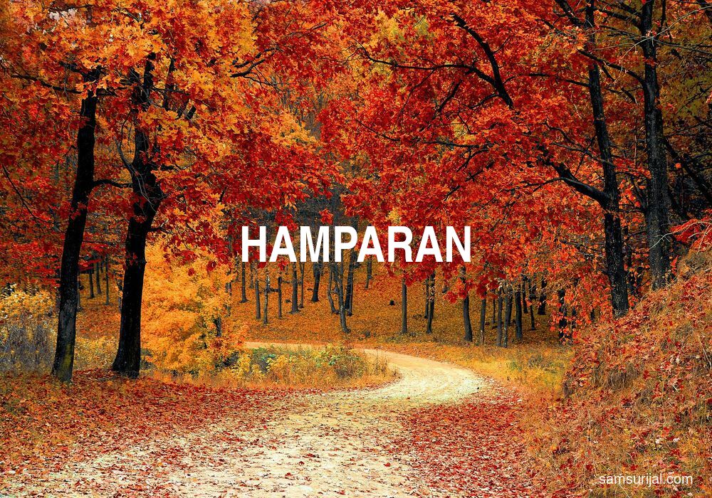 Arti Hamparan