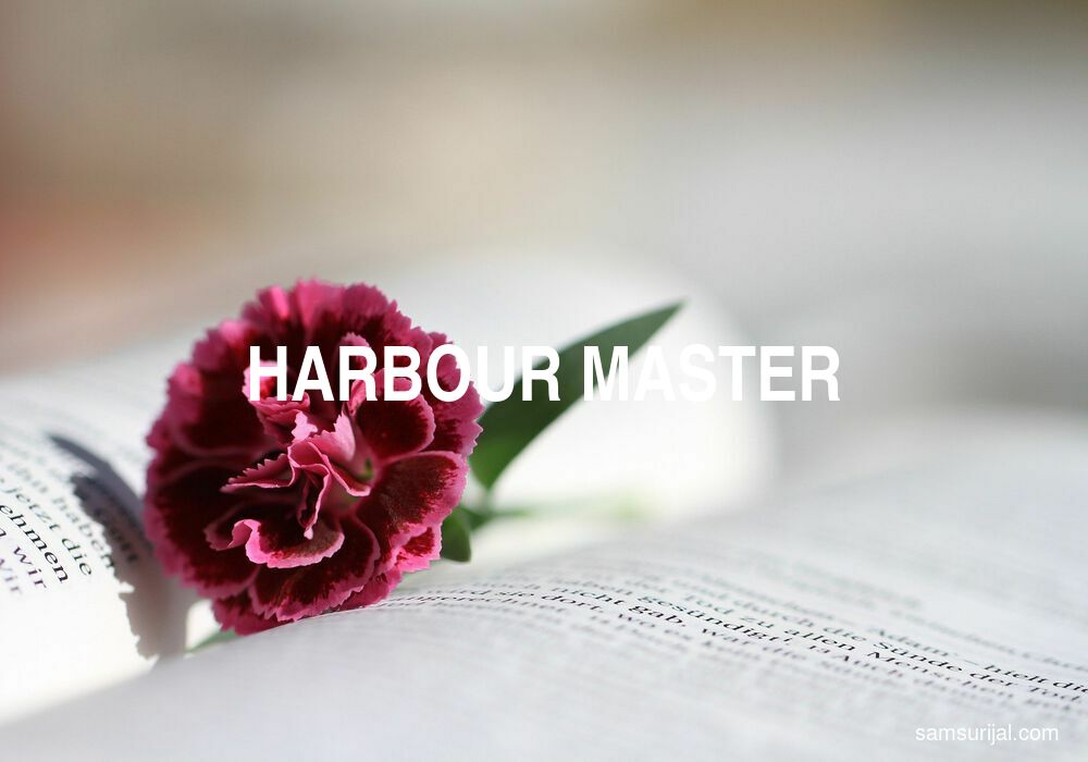 Arti Harbour Master