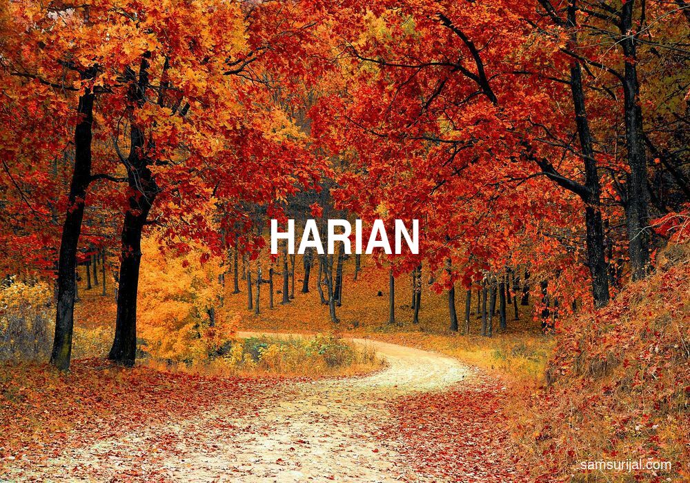 Arti Harian