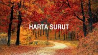 Harta Surut