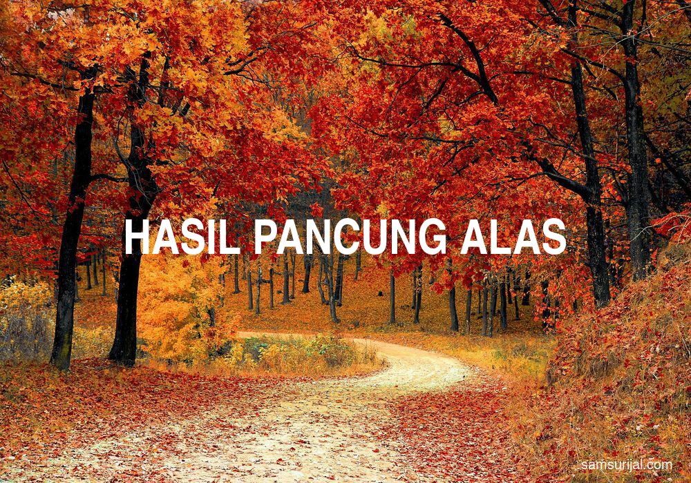 Arti Hasil Pancung Alas