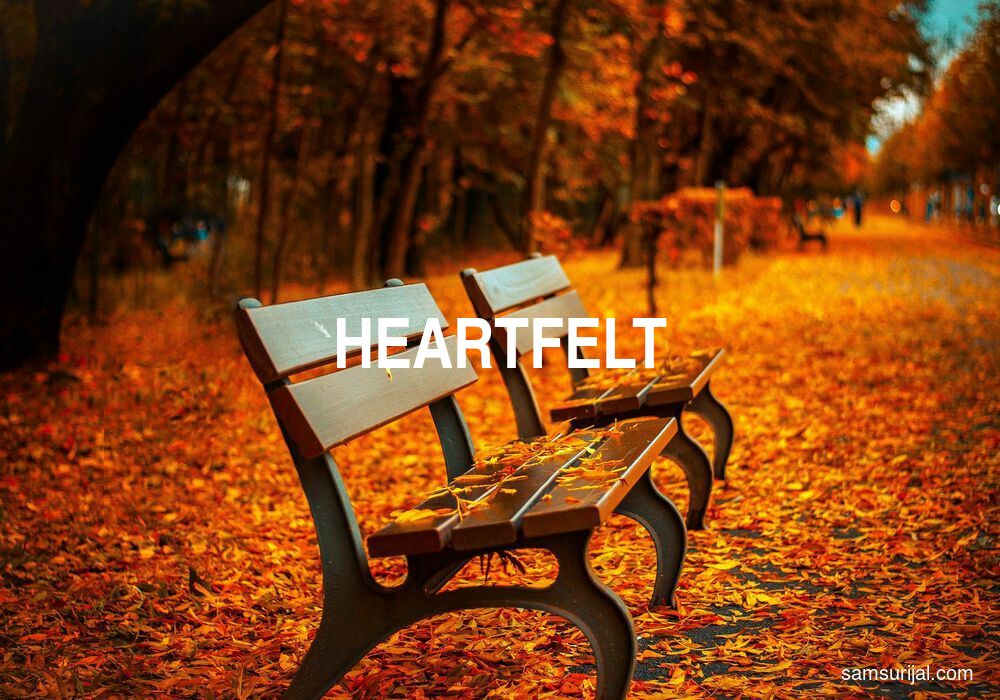 Arti Heartfelt
