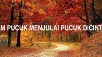 Hendak Ulam Pucuk Menjulai Pucuk Dicinta Ulam Tiba