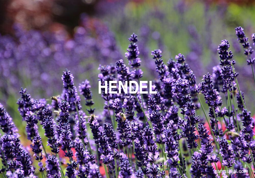Arti Hendel