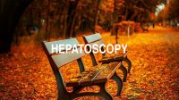 Hepatoscopy