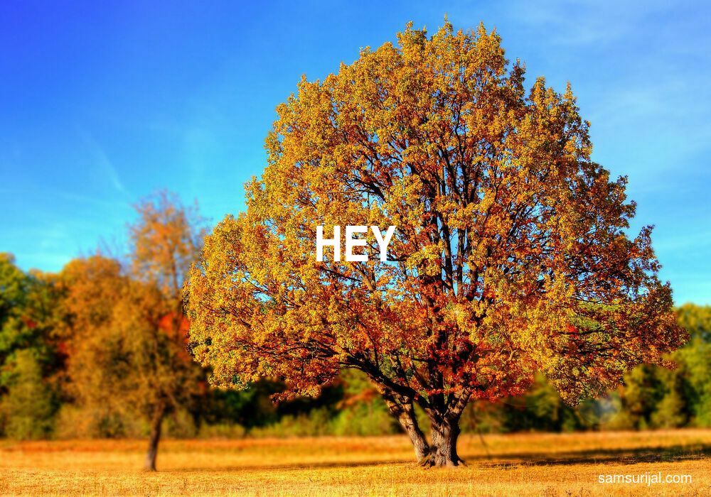 Arti Hey