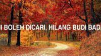 Hilang Bini Boleh Dicari, Hilang Budi Badan Celaka
