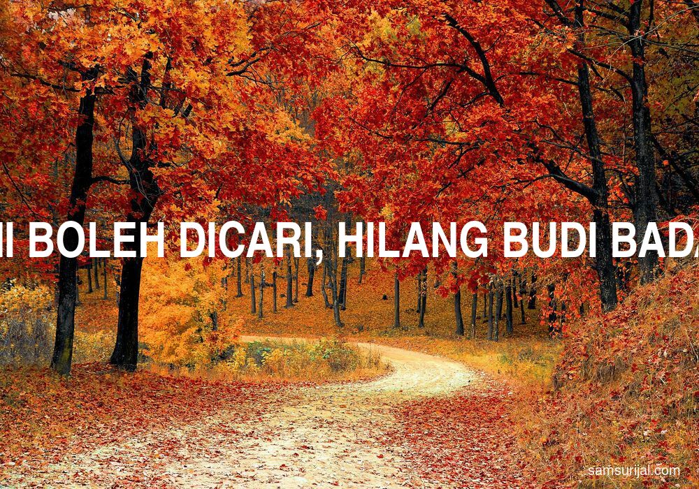 Arti Hilang Bini Boleh Dicari Hilang Budi Badan Celaka