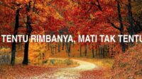 Hilang Tak Tentu Rimbanya, Mati Tak Tentu Kuburnya