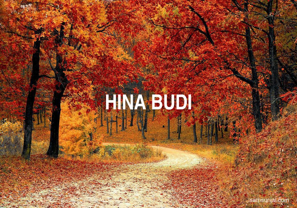 Arti Hina Budi