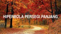 Hiperbola Persegi Panjang