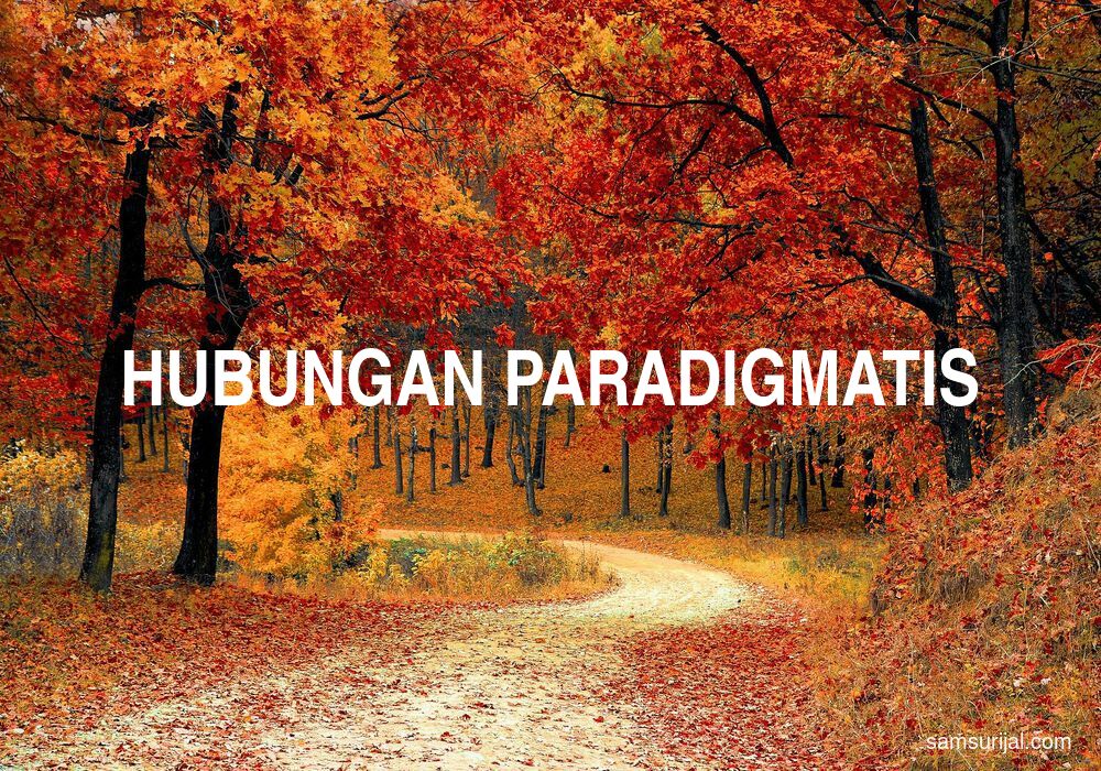 Arti Hubungan Paradigmatis