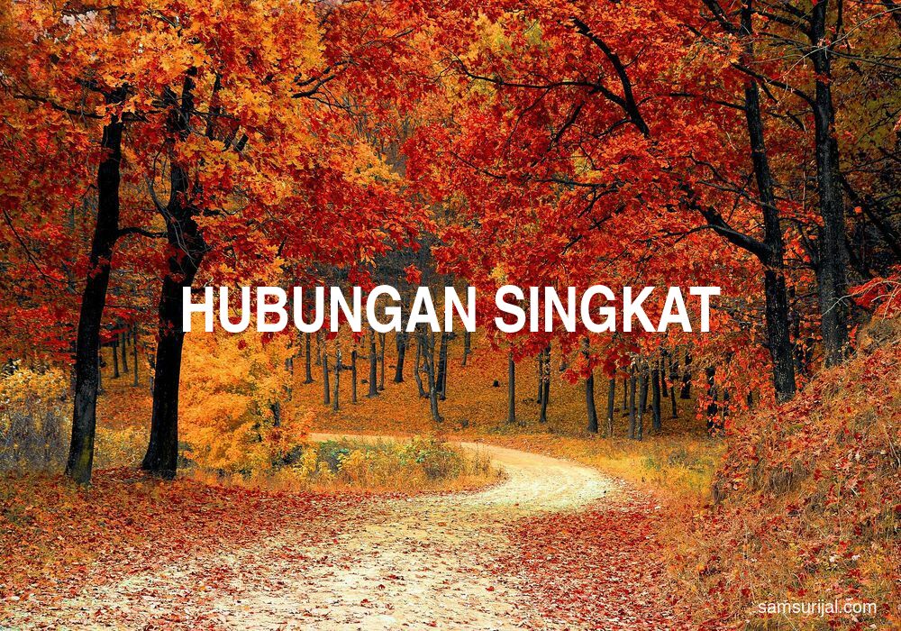 Arti Hubungan Singkat