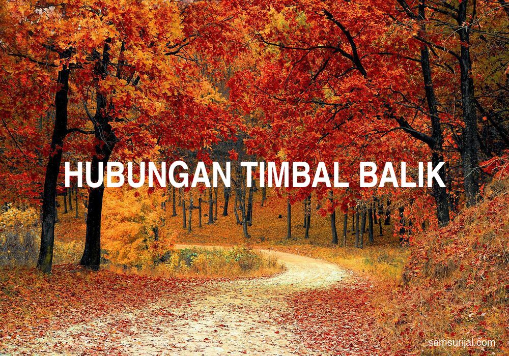 Arti Hubungan Timbal Balik