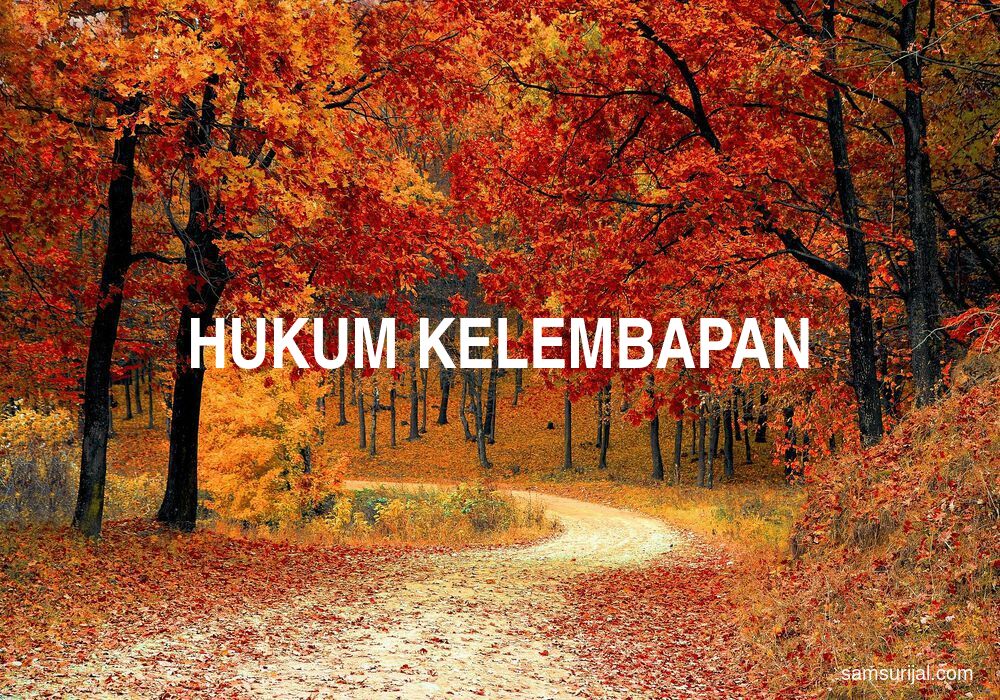 Arti Hukum Kelembapan