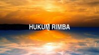 Hukum Rimba