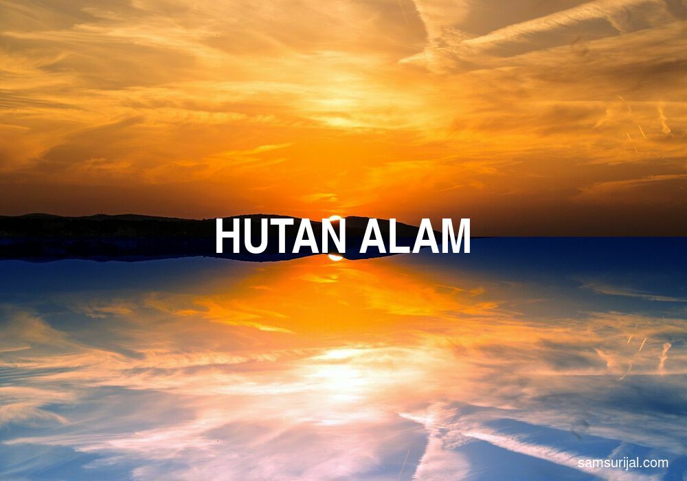 Arti Hutan Alam