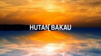 Hutan Bakau