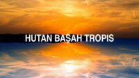 Hutan Basah Tropis