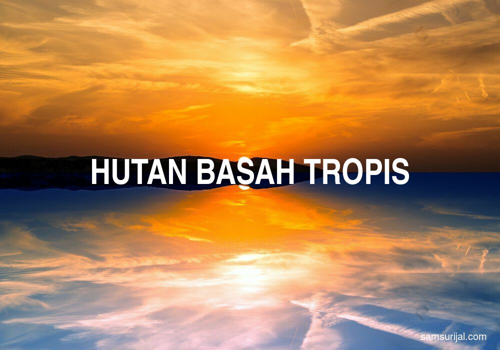 Arti Hutan Basah Tropis