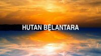 Hutan Belantara