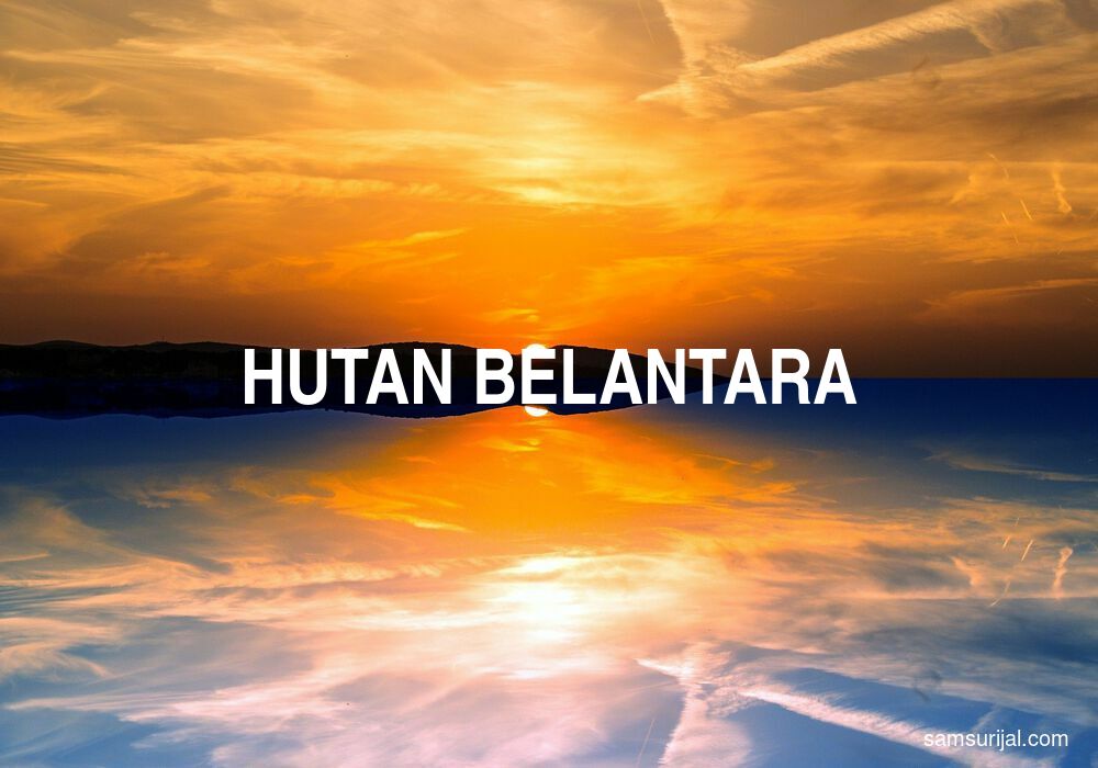 Arti Hutan Belantara