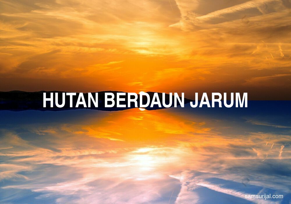 Arti Hutan Berdaun Jarum