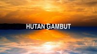 Hutan Gambut