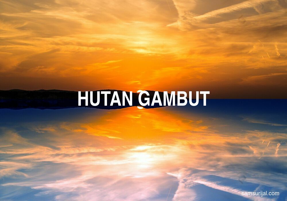 Arti Hutan Gambut