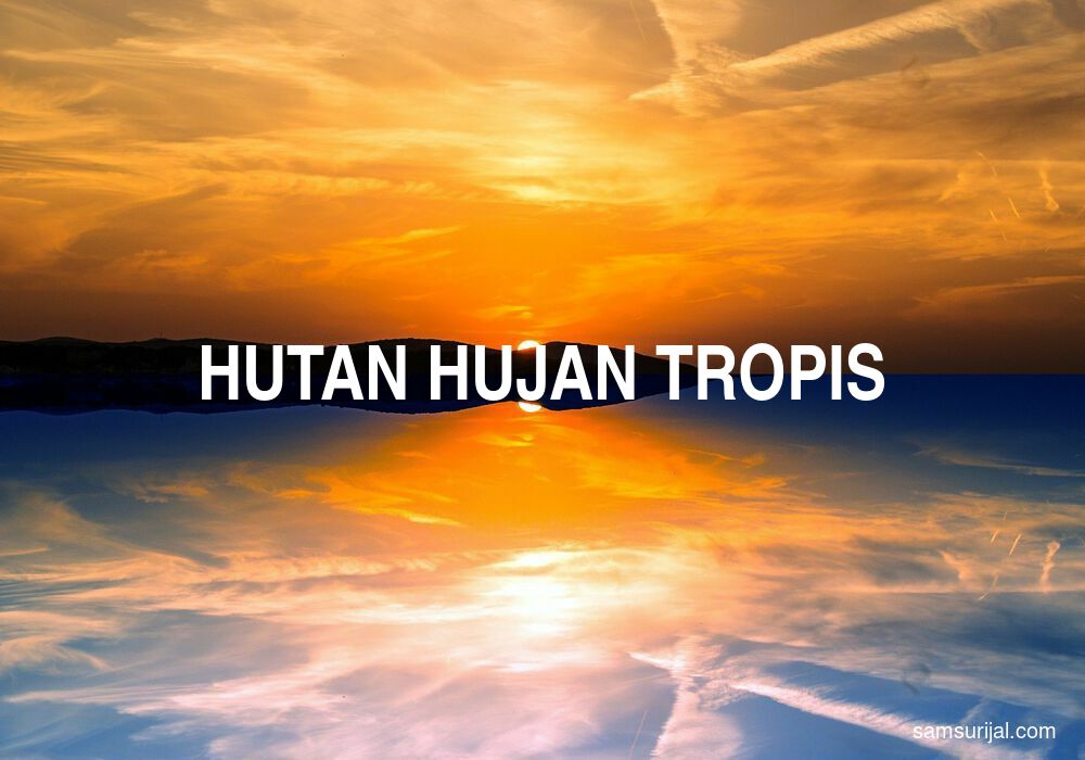 Arti Hutan Hujan Tropis