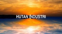 Hutan Industri