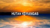 Hutan Kerangas