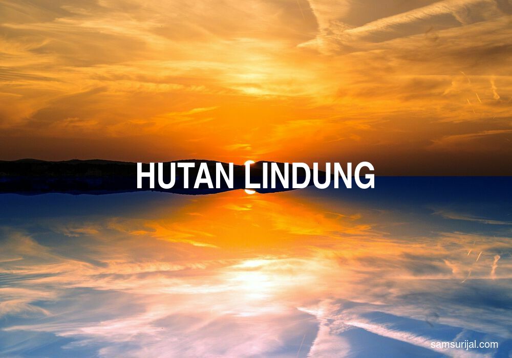 Arti Hutan Lindung