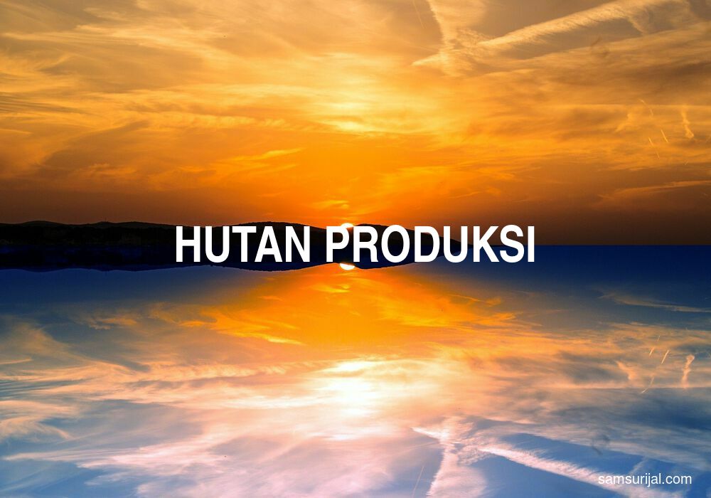 Arti Hutan Produksi