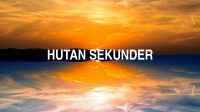 Hutan Sekunder