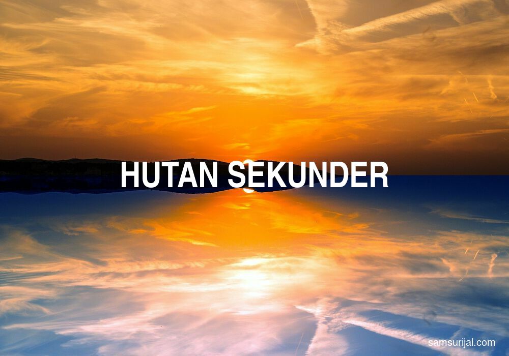 Arti Hutan Sekunder