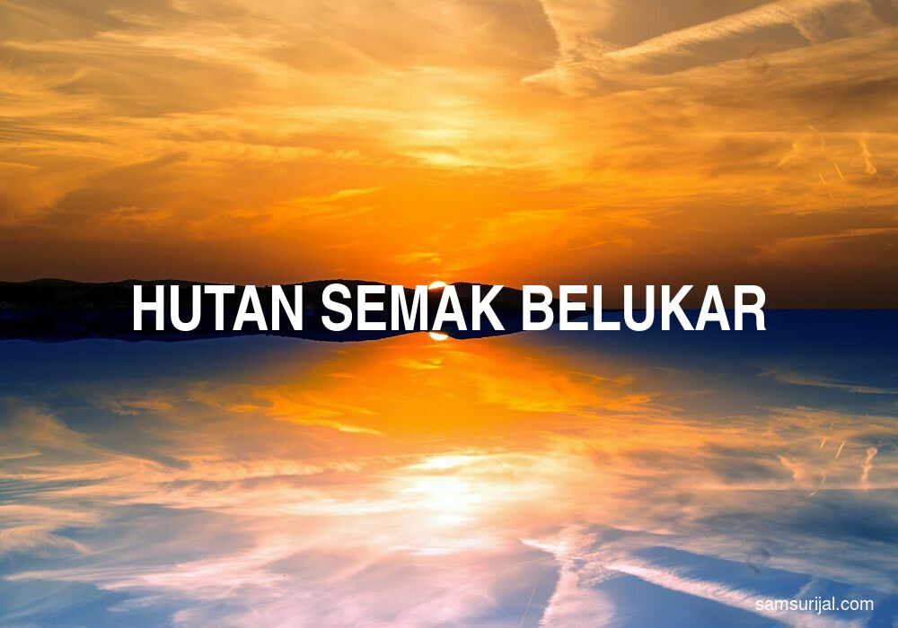 Arti Hutan Semak Belukar