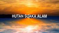 Hutan Suaka Alam