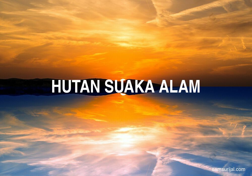 Arti Hutan Suaka Alam