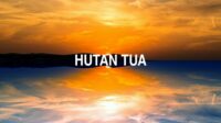 Hutan Tua