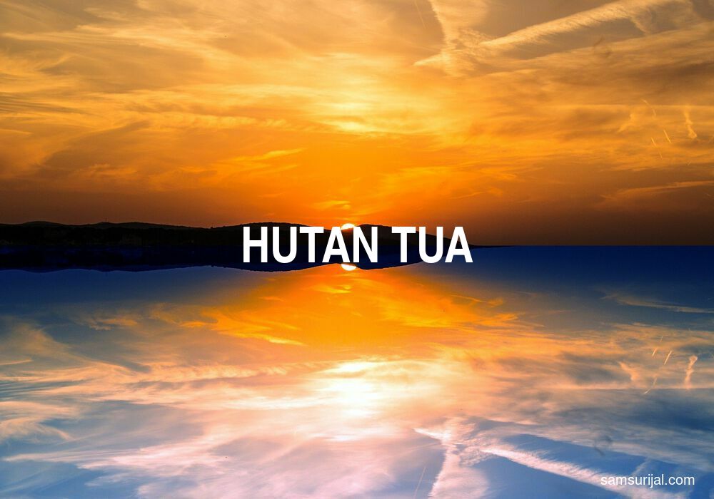 Arti Hutan Tua