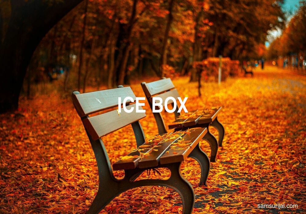 2 Arti Kata Ice Box Kamus Bahasa Inggris Terjemahan Indonesia