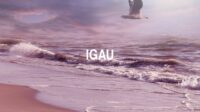 Igau