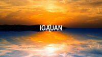 Igauan