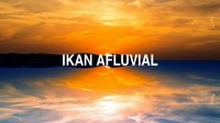 Ikan Afluvial