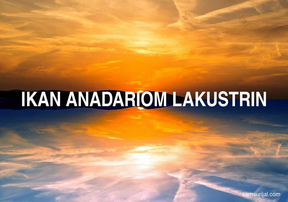 Arti Ikan Anadariom Lakustrin